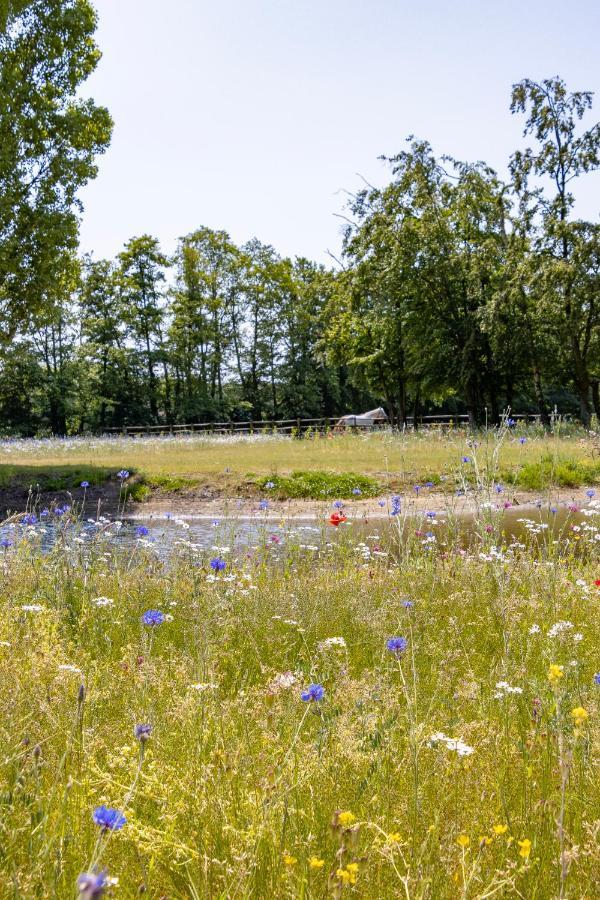 Equilodge 'T Blommeke - Reconnect With Nature Brugge Buitenkant foto