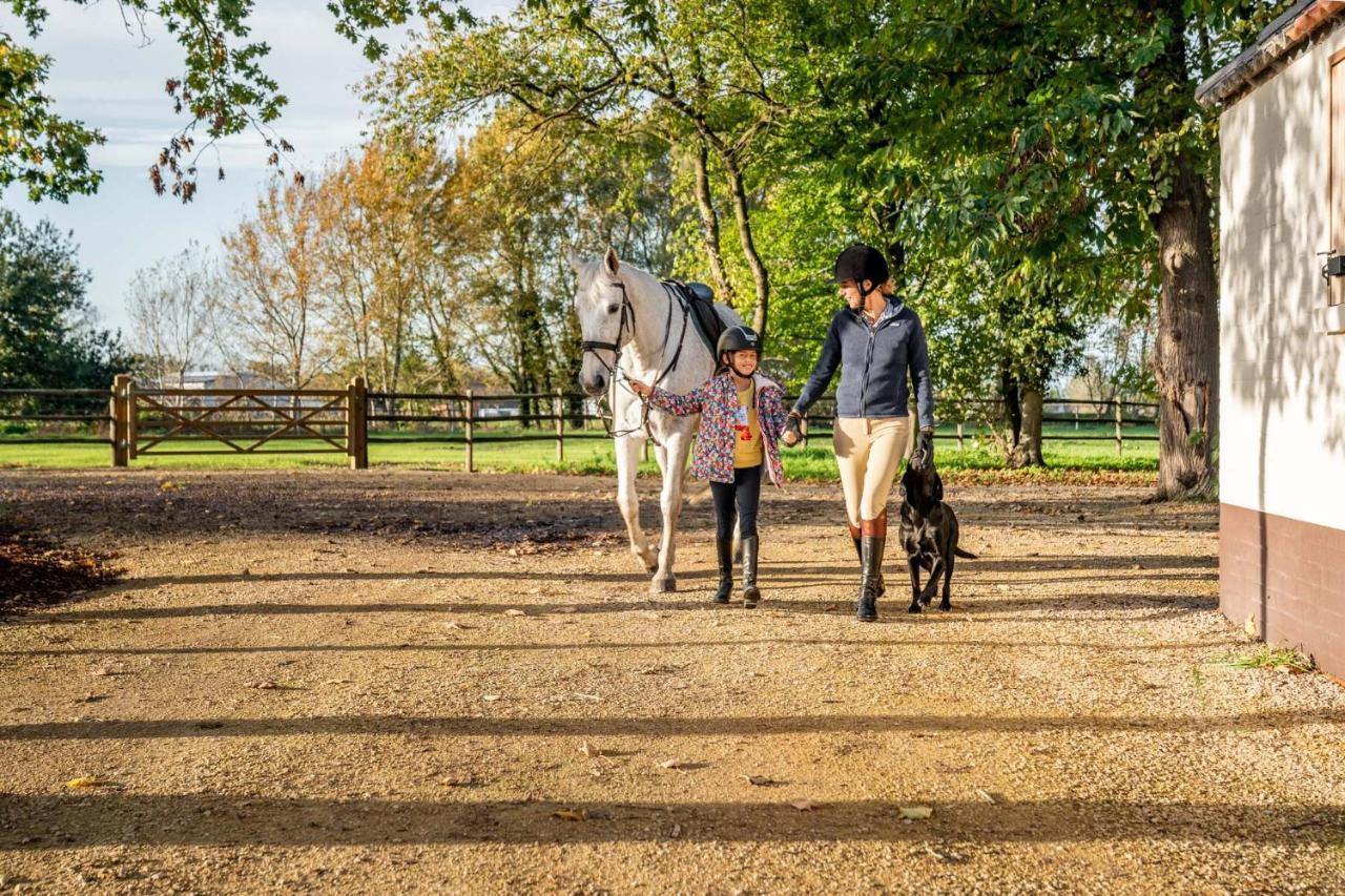 Equilodge 'T Blommeke - Reconnect With Nature Brugge Buitenkant foto