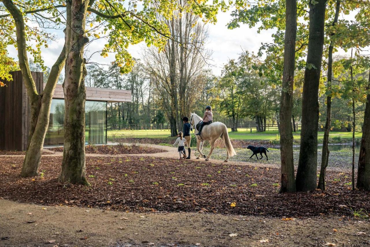 Equilodge 'T Blommeke - Reconnect With Nature Brugge Buitenkant foto