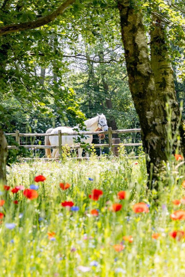 Equilodge 'T Blommeke - Reconnect With Nature Brugge Buitenkant foto